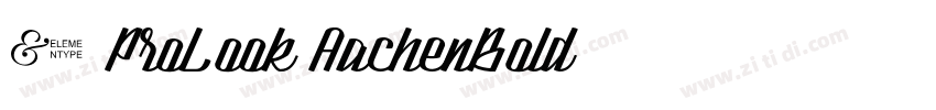 1 ProLook AachenBold字体转换